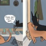 Hilarious Accurate Comic Depicting Cat’s Reaction To Barking Dogs