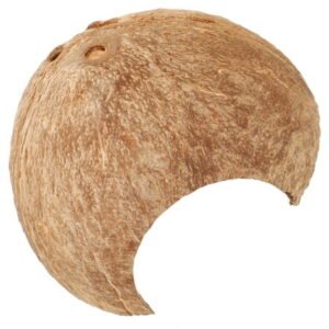 unbranded 1Set Coconut Shell Hiding Place for Terrarium Hides Reptiles Reptile Tank Hides 12.00X12.00X6.50CM