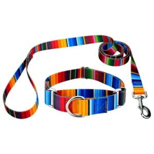 Country Brook Petz® Serape Martingale Dog Collar and Leash, Medium