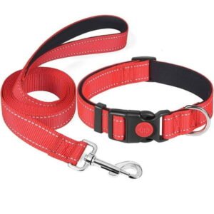 CSCHome Pet Collars Puppy Leash Dog Collars for Small Medium Large Dogs with Leash Sets for Daily Walks(Red)
