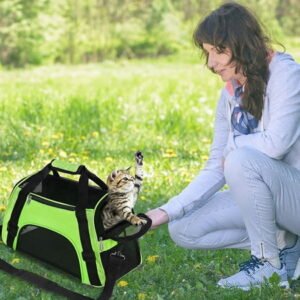 VISALY Cat Carriers Soft Sided Pet Travel Carriers for Cats Dogs Puppy Comfort Portable Foldable Pet Bag