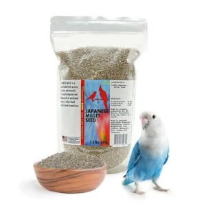 Morning Bird Japanese Millet Seed Bag 1.5 lbs – Healthy & Nutritious Pet Bird Food to Support Health & Immunity – Rich in Vitamins and Supplements – Ideal Bird Feed for All Seed Eating Birds