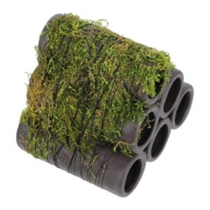 Masteelf Fish and Shrimps Cans in Fish Tank 8.50X7.50X7.00CM Green