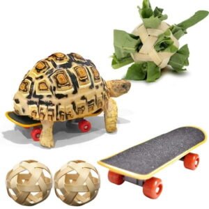 Banghong Tortoise Treat Ball and Training Skateboard Toy Set,Turtle Feeder Ball and Funny Skateboard,Tortoise Toy Feeding Balls Vegetable Grass for Small Animals Pets Tortoises Turtles