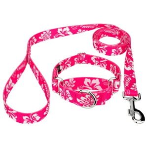 Country Brook Petz® Pink Hawaiian Martingale Dog Collar and Leash, Large