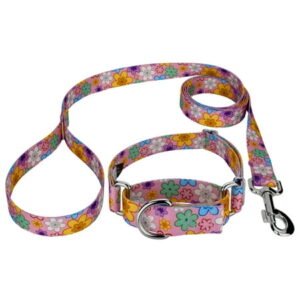 Country Brook Petz® May Flowers Martingale Dog Collar and Leash, Large