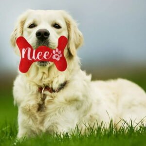 Latrodar Stocking Stuffers for Kids New Pet Supplies Christmas Toy Sound Emitting Puppy Toy Santa Decoration Red Creative Gifts 4.4×1.6 Inch