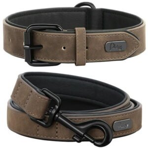 Pet Artist Soft Velvet Leather Dog Collar & Leash set Padded Adjustable for SMALL LARGE PET