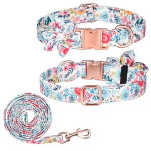 Dog Collar and Leash Sets, Flower Girl Floral Pattern Engraved Pet Collars with Adjustable Strong Gold Buckle Collars for Small Medium Large Dogs – LET a hundred Flowers Bloom