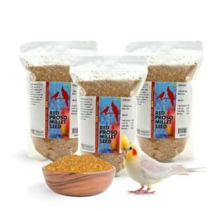 Morning Bird Red Proso Millet Bird Seed Bag 4.5 lbs (3-Pack, 1.5 lbs Each) – Healthy & Nutritious Pet Bird Food is Ideal for Seed Eating Birds – Parakeets, Finches, Cockatiels