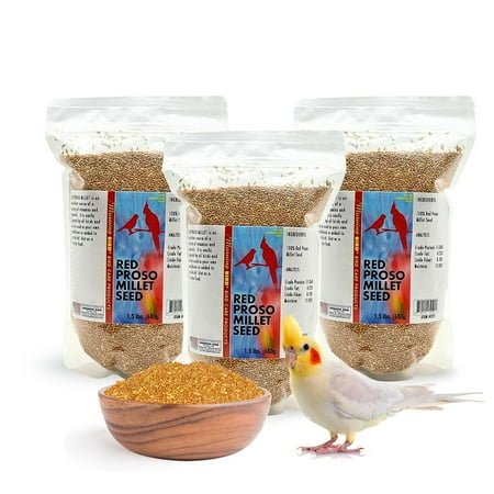 Morning Bird Red Proso Millet Bird Seed Bag 4.5 lbs (3-Pack, 1.5 lbs Each) – Healthy & Nutritious Pet Bird Food is Ideal for Seed Eating Birds – Parakeets, Finches, Cockatiels
