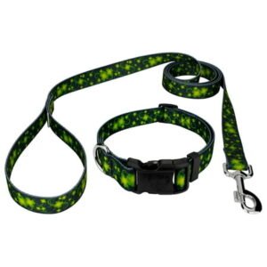 Country Brook Petz® Clovers In The Wind Deluxe Dog Collar and Leash, Small