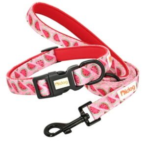 Print Nylon Dog Collar and Leash Set Adjustable Puppy Collars Soft Pet Necklace Walking Leash for Small Medium Dogs Cats Bulldog (Red,S)