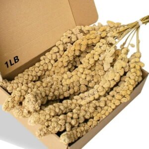 1LB Natural Sun-Dried Millet Treat For Parakeets, Cockatiels, And Finches