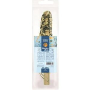 AE Cage Company Garden and Fun Chickadees Select Seed Stick [Bird Parrot Treats, New Bird Supplies, Bird Supplies] 1 count