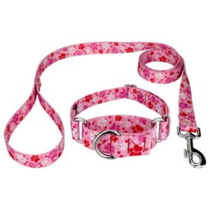 Country Brook Petz® Puppy Love Martingale Dog Collar and Leash, Small