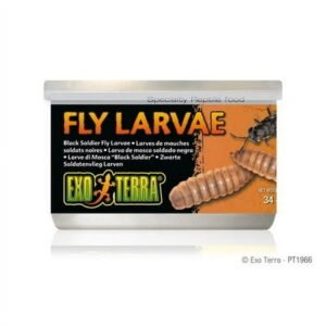 Exo Terra Canned Black Soldier Fly Larvae Specialty Reptile Food – 1.2 oz