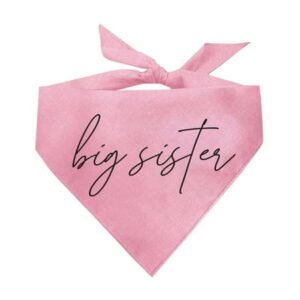 Big Sister Script Triangle Dog Bandana(Baby Pink One Size 773)