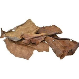 Komodo Reptile 93431 3 oz Dried Oak Leaves Bag – Case of 72