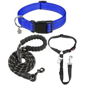 Dog Collar and Leash Set with Safety Seat Belt, Ideal for Walking – Fits Small to X-Large Dog (Royal Blue-L)