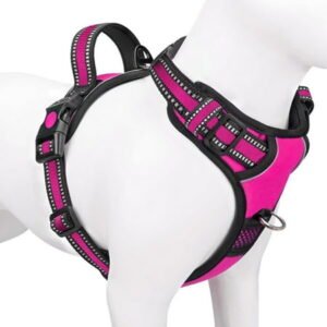 Howarmer Dog Harness, No-Pull Pet Harness with 2 Leash Clips, Adjustable Soft Padded Dog Vest, Reflective No-Choke Pet Oxford Vest with Easy Control Handle for Medium Sized Dogs, Rose Red, M