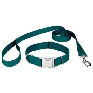 Country Brook Petz® Premium Nylon Dog Collar and Leash – Teal, Small