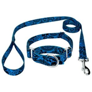 Country Brook Petz® Blue Polynesian Martingale Dog Collar and Leash, Extra Large