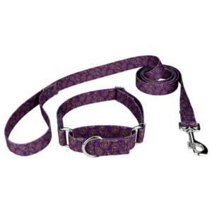 Country Brook Petz® 3/4 inch Purple Paisley Martingale Dog Collar and Leash, Medium