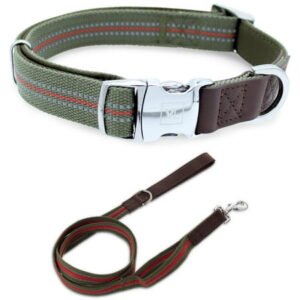 Vibrant Life Comfort Premium Reflective Dog Collar Medium and 6ft Leash, Metal Buckle, Olive Green, Size Medium