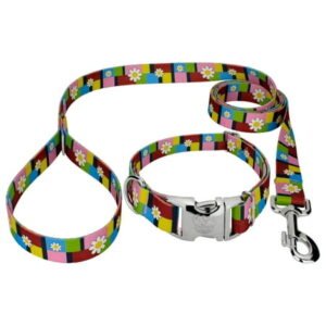 Country Brook Petz® Premium Spring Daisies Dog Collar and Leash, Large