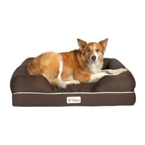 PetFusion Ultimate Orthopedic Memory Foam Dog Bed with Medium Firmness Pillow, Waterproof Liner & Breathable Cotton Cover, Large 36″ x 28″, Brown