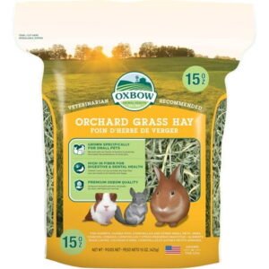 Orchard Grass Hay for Small Pets – All-Natural Long Strand Fiber Hay for Rabbits, Guinea Pigs, Chinchillas, and Hamsters – Supports Digestive Health and Enrichment – 40 oz Bag