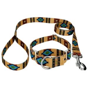 Country Brook Petz® Native Arizona Martingale Dog Collar and Leash, Large