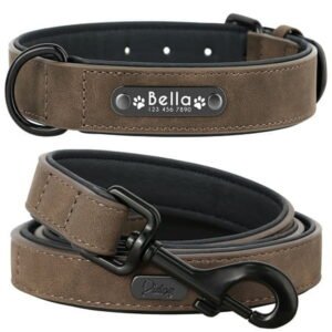 Pet Artist Personalized Dog Collar and Leash set Leather Padded Custom Namensschild for Pet