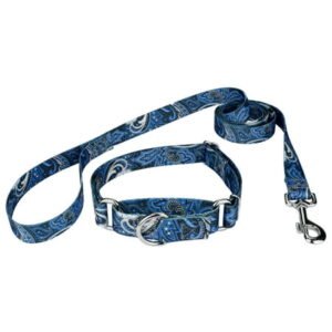 Country Brook Petz® Blue Paisley Martingale Dog Collar and Leash, Small