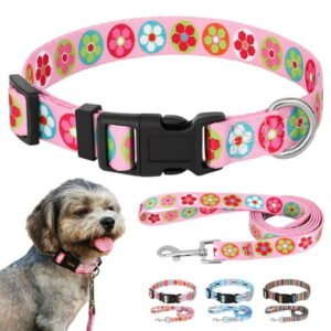 Pet Artist Fashion Floral Adjustable Nylon Dog Collar and Leash Set for Small Medium Dogs Chihuahua Yorkie