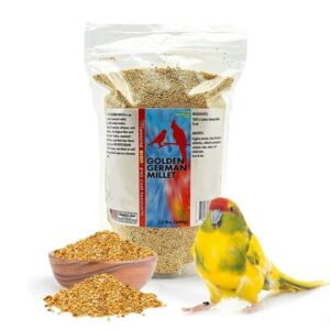 Morning Bird Golden German Millet 1.5 lbs – Bird Seed & Parakeet Food with Protein, Vitamin B & Fiber – Easy-to-Digest Millet Seed, Natural Food & Daily Nutrition Supplement for All Type of Bird