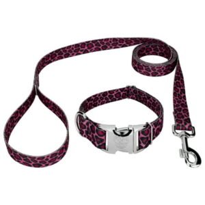 Country Brook Petz® Premium Pink Leopard Collar and Leash, Medium