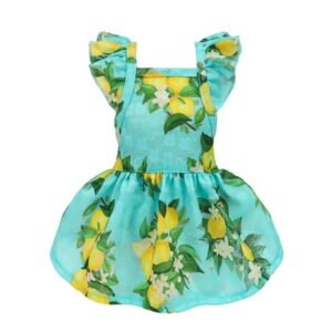 Fitwarm Lemon Dog Dress, Dog Clothes for Small Dogs Girl, Pet Cat Apparel, Teal Blue, Yellow, Green, XXS