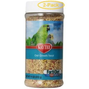 Kaytee Forti-Diet Pro Health Oat Groats Treat – All Birds 11 oz – Pack of 2