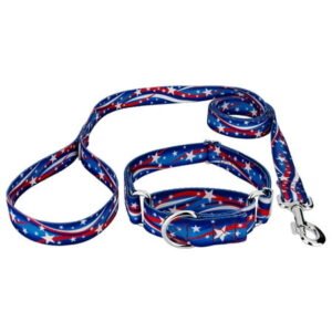 Country Brook Petz® Star Spangled Martingale Dog Collar and Leash Limited Edition, Extra Large