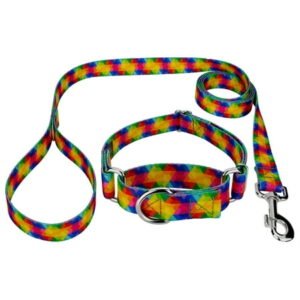 Country Brook Petz® Kaleidoscope Martingale Dog Collar and Leash, Large