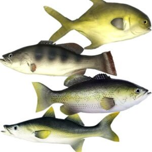 4 Pack Fake Fish, 11 Inch Realistic Artificial Fishes Models, Rubber Lifelike Fake Sea Fish Decor for Aquarium Displays, Themed Parties, Photography Props, Kitchen Decor 4 Unique Styles