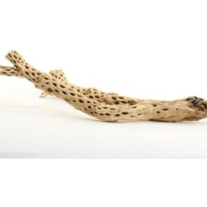 Koyal Wholesale Cholla Wood 12-Inch, Aquarium Branches, Airplants Decor, Reptile Perch, Natural Home Decoration
