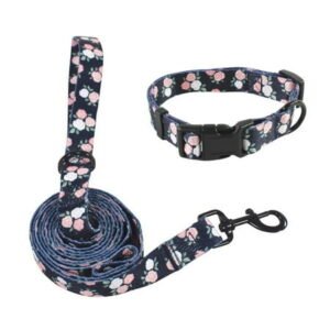 Luvable Friends Unisex Pet Collar and Leash Set, Floral, Large