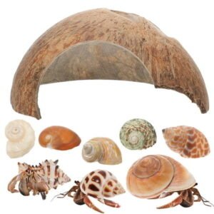1 Set Coconut Hide Reptile Hideout Hermit Crab Shells Fish Hide Cave Lizard Hiding Cave Conch Shell For Aquarium Fish Tank