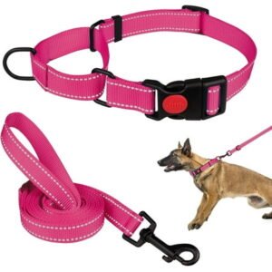 Solennerer Dog Collar Dog Leash Sets Heavy Duty Pet Leash Lead Rope for Small Medium Large Dogs Walking Running Training