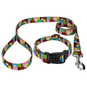 Country Brook Petz® Spring Daisies Deluxe Dog Collar and Leash, Extra Large