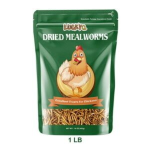 LUCKYQ Dried Mealworms 1LB,High-Protein Bulk Mealworms for Birds, Chickens, Turtles, Fish, Hamsters, and Hedgehogs, Non-GMO and Chemical Free, All Natural Animal Feed