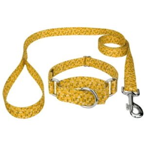 Country Brook Petz® Spring Cottagecore Martingale Dog Collar and Leash, Medium